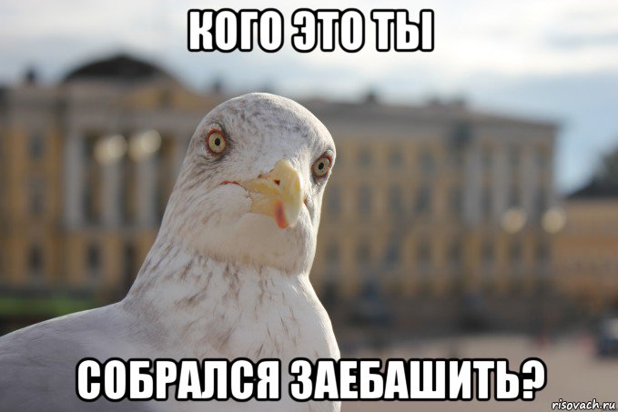 кого это ты собрался заебашить?