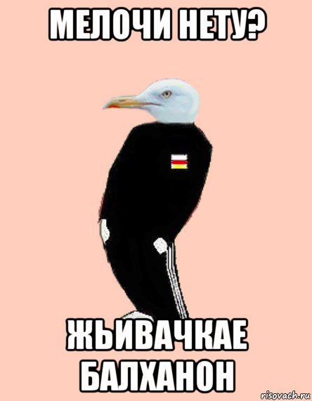 мелочи нету? жьивачкае балханон