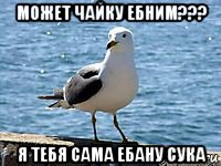 может чайку ебним??? я тебя сама ебану сука