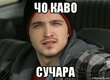 чо каво сучара, Мем че каво сучара