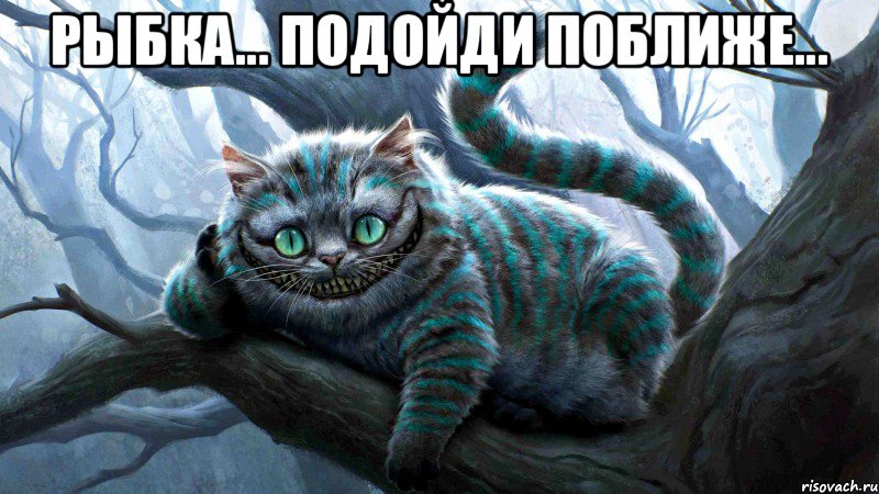 Рыбка... Подойди поближе... 