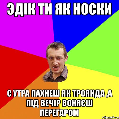 Эдік ти як носки С утра пахнеш як троянда ,а під вечір воняєш перегаром, Мем Чоткий паца