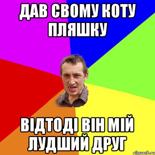 дав свому коту пляшку відтоді він мій лудший друг, Мем Чоткий паца