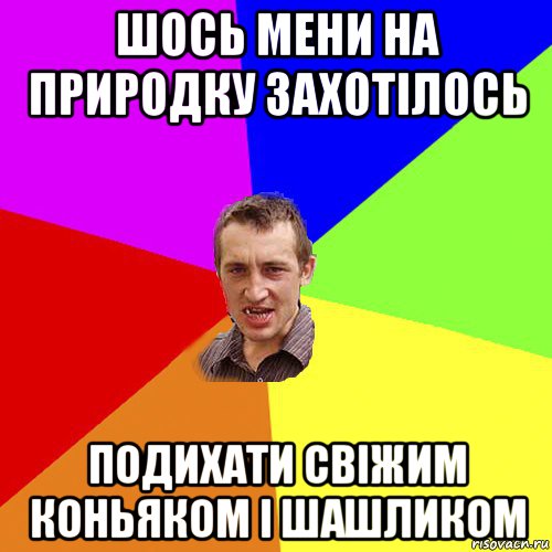 шось мени на природку захотілось подихати свіжим коньяком і шашликом, Мем Чоткий паца