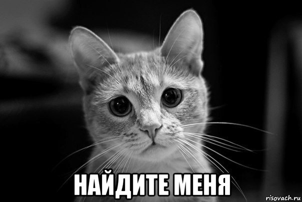  найдите меня