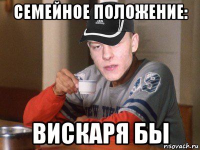 семейное положение: вискаря бы