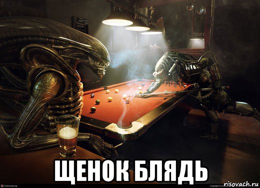  щенок блядь