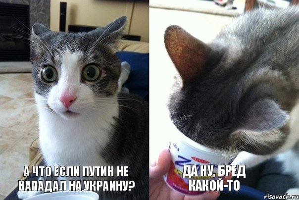 А что если Путин не нападал на Украину? Да ну, бред какой-то, Комикс  Да не бред-какой-то (2 зоны)