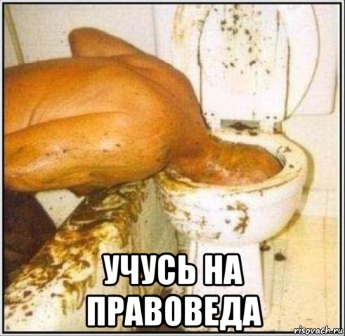  Учусь на правоведа, Мем Дайвер