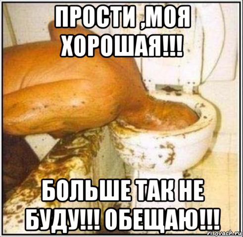 прости ,моя хорошая!!! больше так не буду!!! обещаю!!!, Мем Дайвер