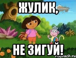 ЖУЛИК, НЕ ЗИГУЙ!, Мем Даша следопыт
