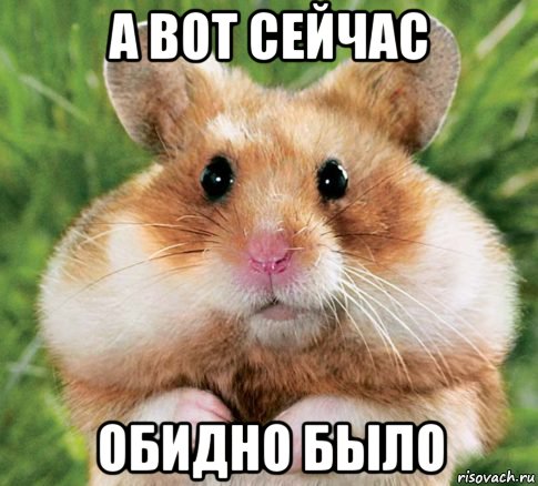 а вот сейчас обидно было, Мем дазл