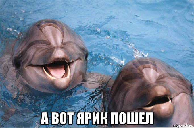  а вот ярик пошел