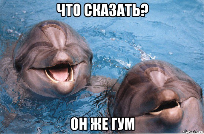 что сказать? он же гум