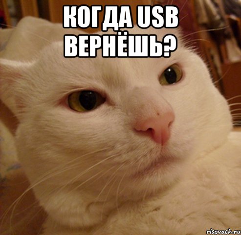 когда usb вернёшь? , Мем Дерзкий котэ