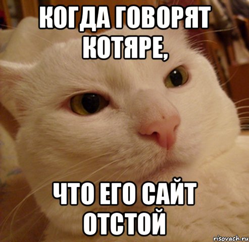 когда говорят котяре, что его сайт отстой, Мем Дерзкий котэ