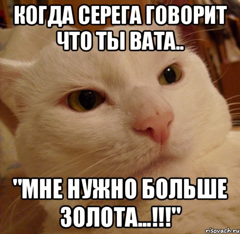 когда серега говорит что ты вата.. "мне нужно больше золота...!!!", Мем Дерзкий котэ