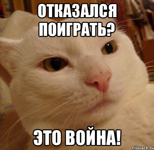 отказался поиграть? Это война!, Мем Дерзкий котэ