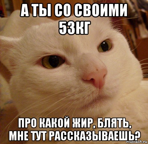 а ты со своими 53кг про какой жир, блять, мне тут рассказываешь?, Мем Дерзкий котэ