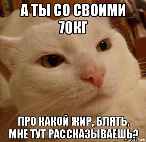 а ты со своими 70кг про какой жир, блять, мне тут рассказываешь?, Мем Дерзкий котэ