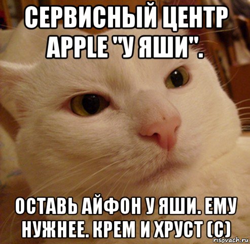 сервисный центр apple "у яши". оставь айфон у яши. ему нужнее. крем и хруст (с), Мем Дерзкий котэ