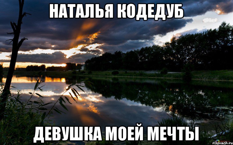 Наталья кодедуб Девушка моей мечты, Мем девушка моей мечты