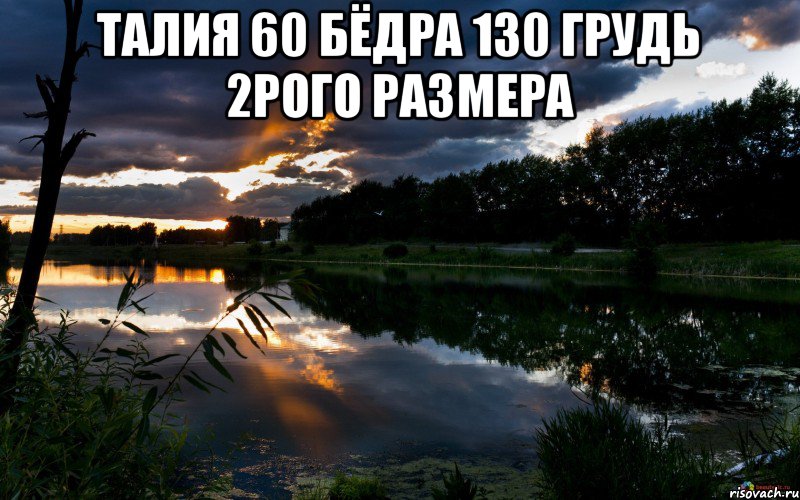 талия 60 бёдра 130 грудь 2рого размера , Мем девушка моей мечты
