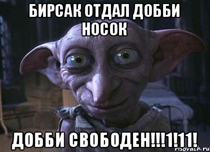 БИРСАК ОТДАЛ ДОББИ НОСОК ДОББИ СВОБОДЕН!!!1!11!, Мем ДОББИ СВОБОДЕН