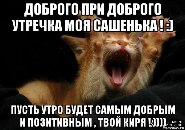 доброго при доброго утречка моя сашенька ! :) пусть утро будет самым добрым и позитивным , твой киря ! ))))