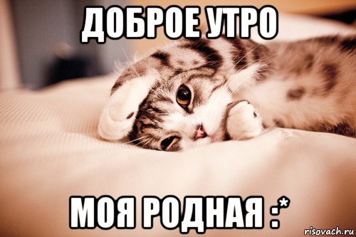 доброе утро моя родная :*