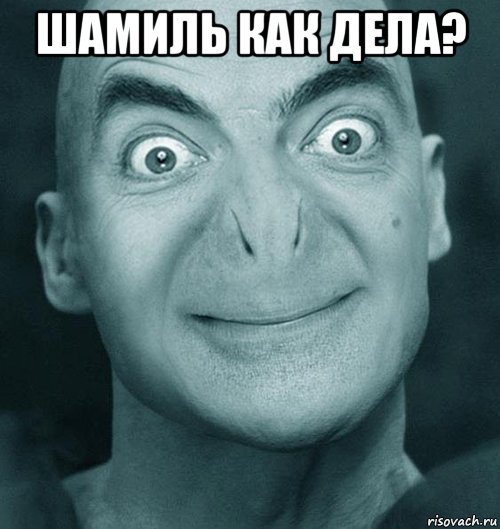 шамиль как дела? 