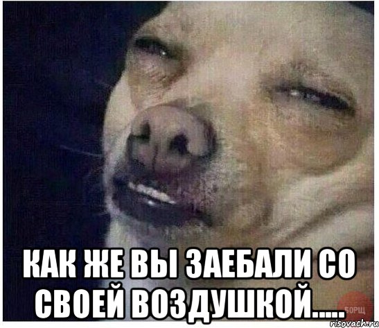  как же вы заебали со своей воздушкой....., Мем dog