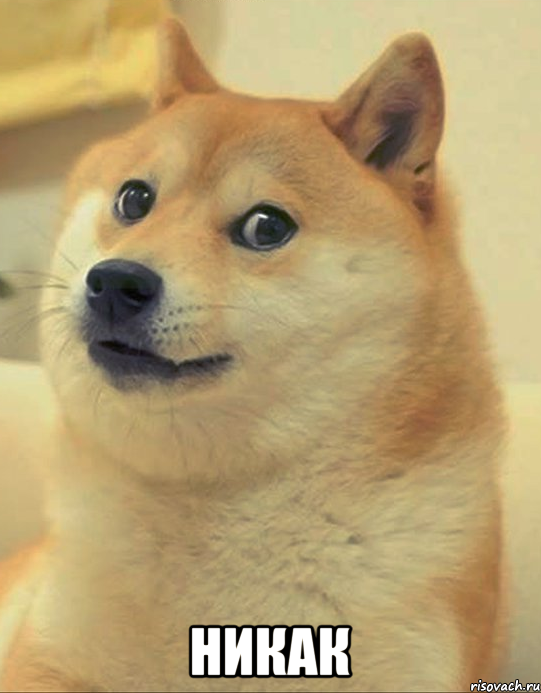  НИКАК, Мем doge woof