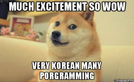 much excitement so wow very korean many porgramming, Мем Доге