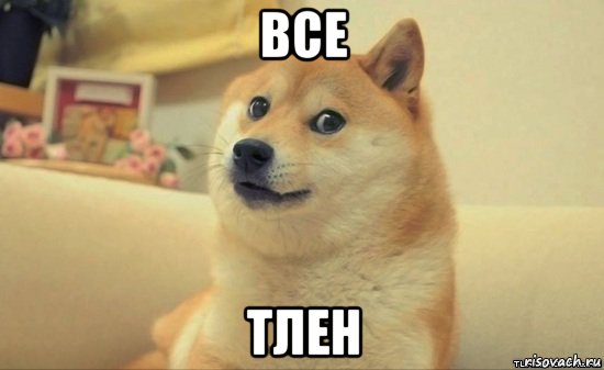 все тлен