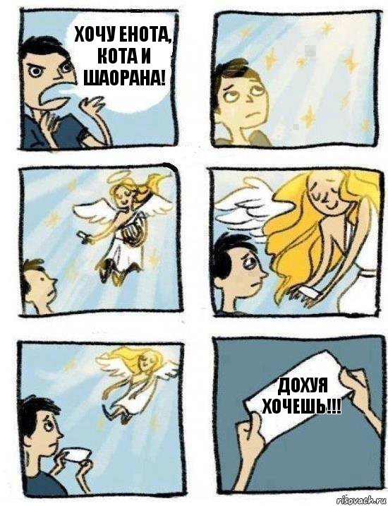 ДОХУЯ ХОЧЕШЬ!!! Хочу енота, кота и ШАОРАНА!, Комикс  Дохфига хочешь