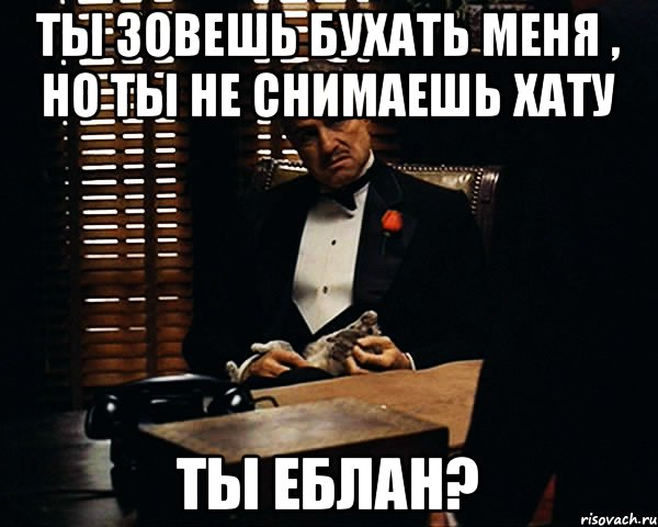 Ты зовешь бухать меня , но ты не снимаешь хату Ты еблан?