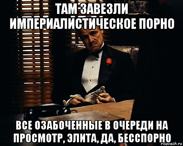 там завезли империалистическое порно все озабоченные в очереди на просмотр, элита, да, бесспорно, Мем Дон Вито Корлеоне