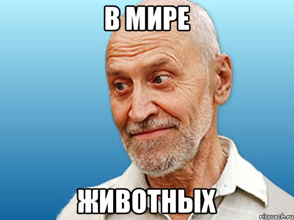 В мире животных