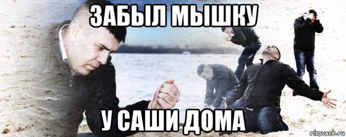 забыл мышку у саши дома