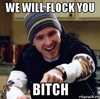 we will flock you bitch