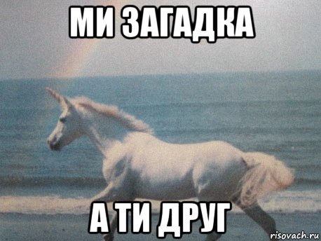 ми загадка а ти друг