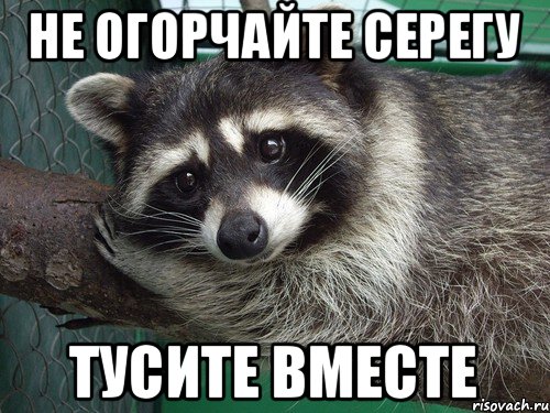 не огорчайте серегу тусите вместе