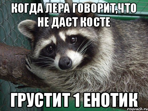 Когда Лера говорит,что не даст Косте грустит 1 енотик