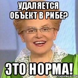 Удаляется объект в РИБЕ? ЭТО НОРМА!, Мем ЭТО НОРМАЛЬНО