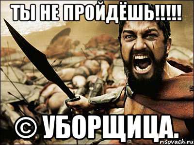 ты не пройдёшь!!!!! © уборщица., Мем Это Спарта