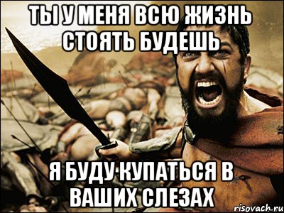 ты у меня всю жизнь стоять будешь я буду купаться в ваших слезах, Мем Это Спарта