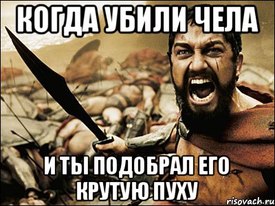 когда убили чела и ты подобрал его крутую пуху, Мем Это Спарта