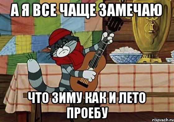 А я все чаще замечаю Что зиму как и лето проебу, Мем Грустный Матроскин с гитарой