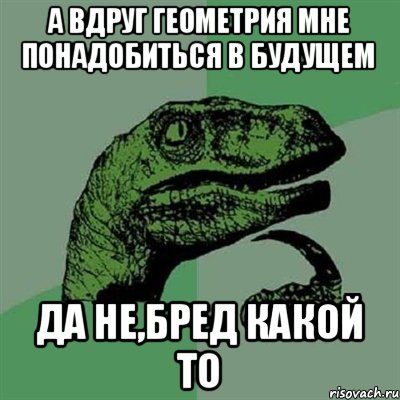 а вдруг геометрия мне понадобиться в будущем да не,бред какой то, Мем Филосораптор